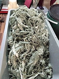 Göğermiş peynir (antibiyotik)